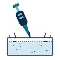 Implanter pen technique for hair transplant - Hair Transplant Bangalore, VTIARA Clinic